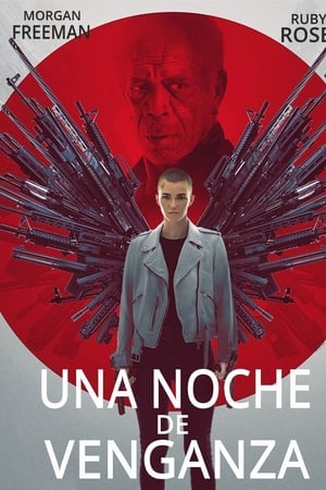 Una Noche De Venganza