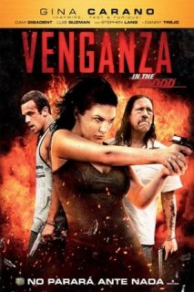 Venganza (In The Blood) [Spanish]