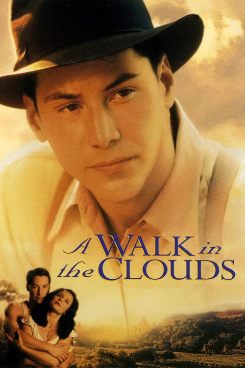 Un Paseo Por Las Nubes (MKV) Español Torrent