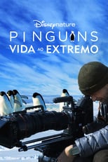 Póster Los pingüinos de la Antártida (720p)