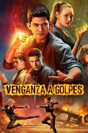 Póster Venganza a golpes
