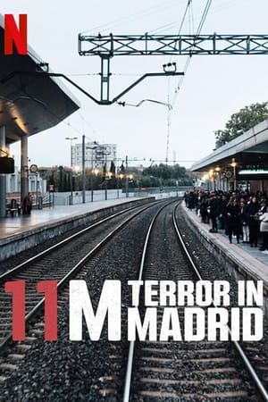 Póster 11M