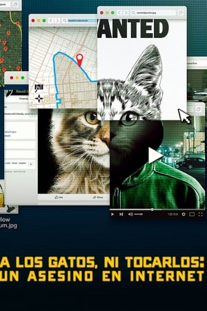 A los gatos ni tocarlos: Un asesino en Internet 1x01