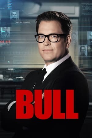 Bull 1x01