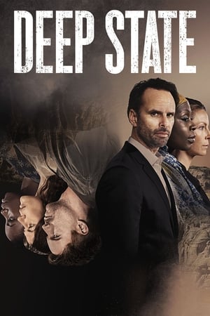 Deep State 1x01