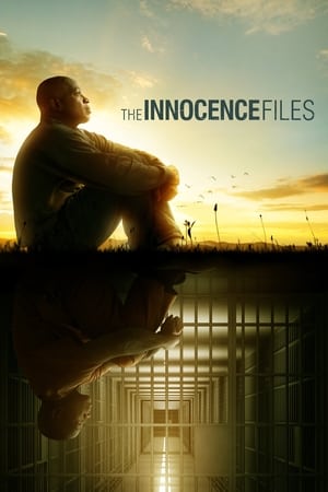The Innocence Files 1x01