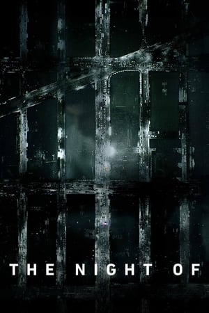 The Night Of 1x01