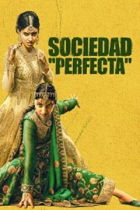 Sociedad Perfecta