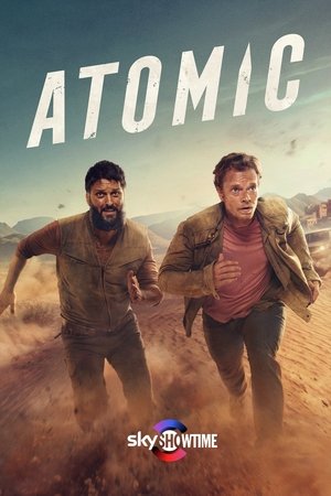 Atomic 1x1